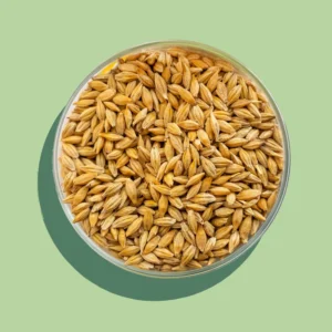 Explore Malt Items