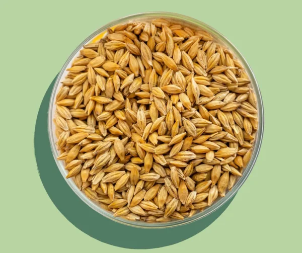 Explore Malt Items